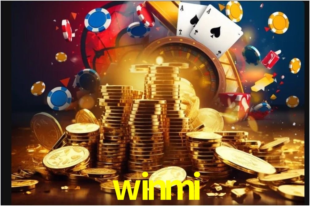 Interface Premium winmi